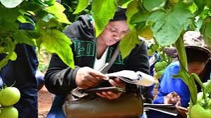 Agriseta Learnerships and Internships